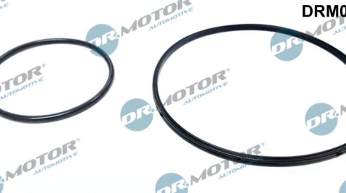 Set etansare, pompa vacuum (DRM0560S DRM) BMW