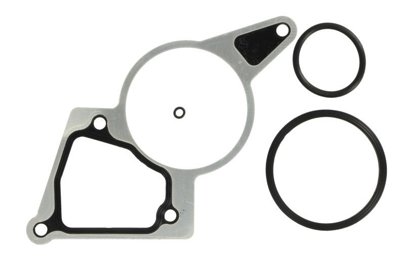 Set etansare, pompa vacuum FORD TRANSIT platou / sasiu (FM, FN) (2000 - 2006) ELRING 250.870 piesa NOUA