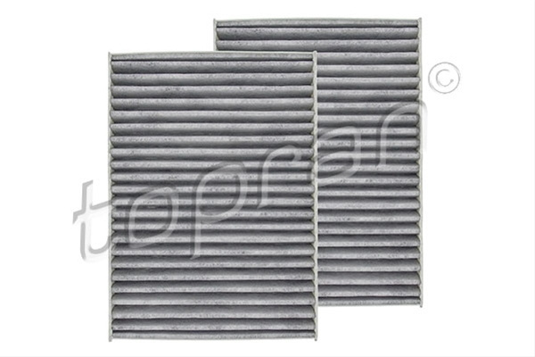 Set Filtre Habitaclu Hans Pries Topran Bmw 502 962