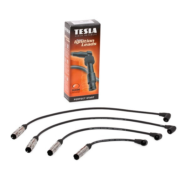 Set Fise Bujii Tesla T076B