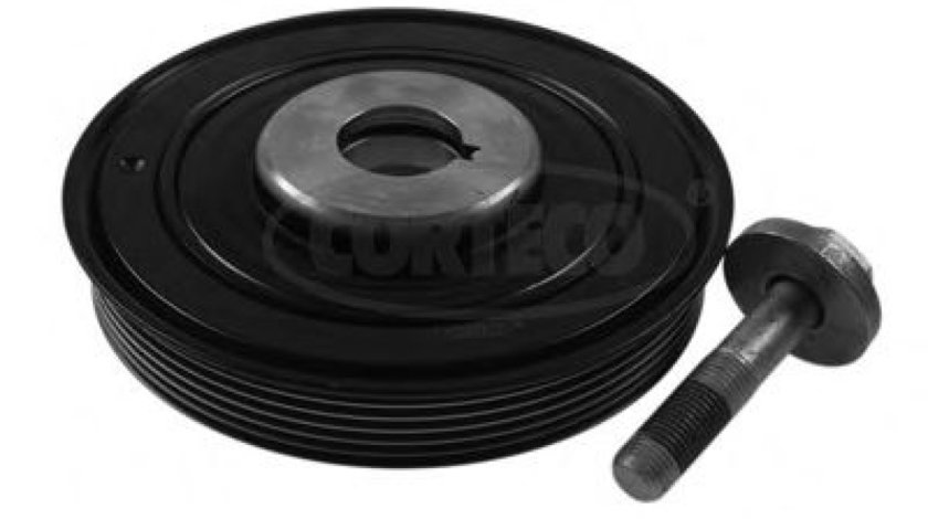 Set fulie, arbore cotit FIAT DUCATO bus (230) (1994 - 2002) CORTECO 80001811 piesa NOUA