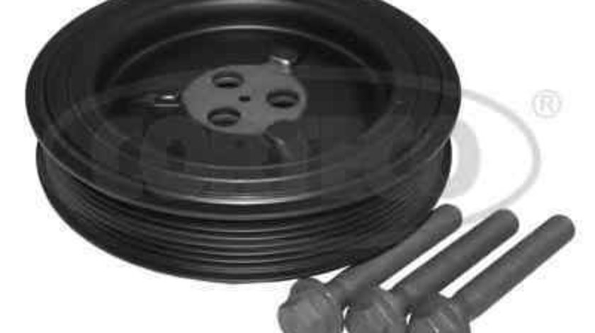 Set fulie, arbore cotit FORD TRANSIT platou / sasiu CORTECO 80004875