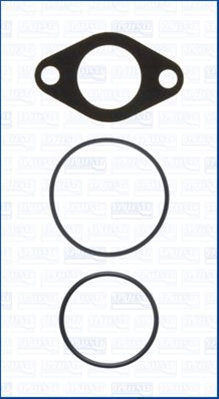 Set Garnitura Sistem Egr Ajusa 77017600