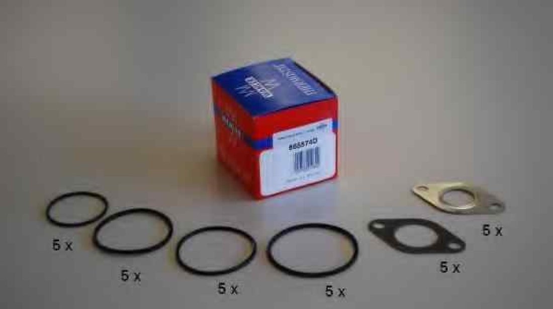 Set garnitura sistem EGR AUDI 80 8C B4 Producator WAHLER 665574D