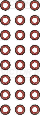 Set garnituri, ax supape (121313501 VICTOR REINZ) IVECO