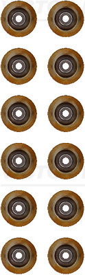 Set garnituri, ax supape (121323701 VICTOR REINZ) JAGUAR