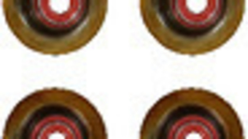 Set garnituri, ax supape (121750901 REI) FIAT,JEEP