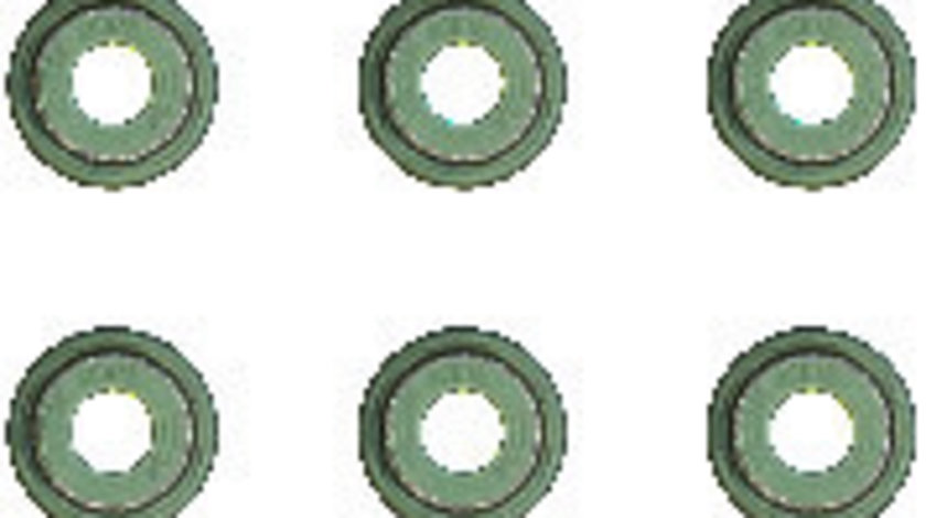 Set garnituri, ax supape (121768201 REI) SUZUKI