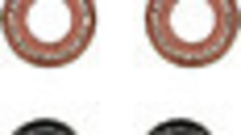 Set garnituri, ax supape (123130606 REI) MERCEDES-BENZ,PUCH