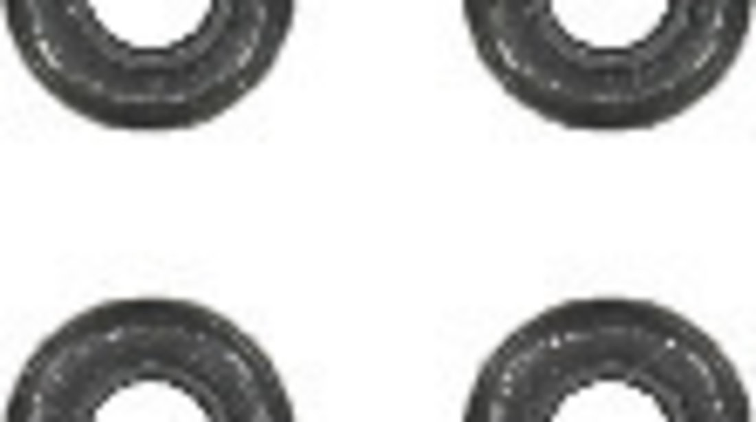 Set garnituri, ax supape (123130607 VICTOR REINZ) AUDI,BMW,Citroen,DACIA,FIAT,LANCIA,NISSAN,PEUGEOT,RENAULT,SEAT,SKODA,SUZUKI,VW,VW (FAW),VW (SVW)