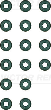 Set garnituri, ax supape (123345702 REI) BMW