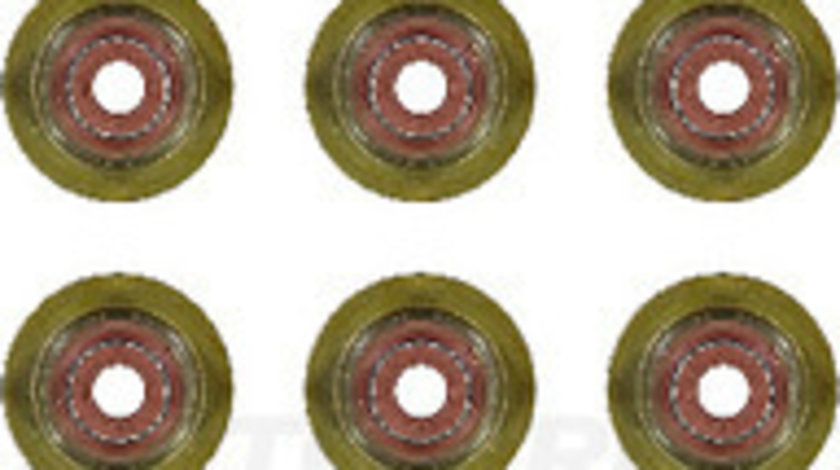 Set garnituri, ax supape (123524101 REI) NISSAN,PEUGEOT,RENAULT