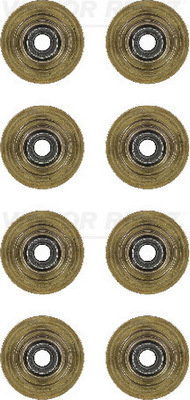 Set garnituri, ax supape (123554701 REI) FORD