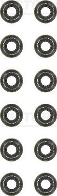 Set garnituri, ax supape (123608201 REI) VW
