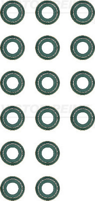 Set garnituri, ax supape (123690301 REI) LAND ROVER