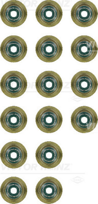 Set garnituri, ax supape (123725602 REI) BMW