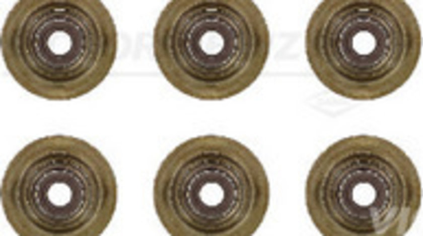 Set garnituri, ax supape (123762101 REI) BMW,BMW (BRILLIANCE),Citroen,Citroen (DF-PSA),DS,DS (CAPSA),MINI,OPEL,PEUGEOT,PEUGEOT (DF-PSA),VAUXHALL