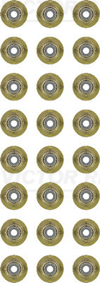 Set garnituri, ax supape (123854601 REI) Citroen,JAGUAR,LAND ROVER,PEUGEOT