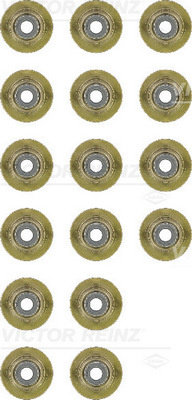 Set garnituri, ax supape (123854602 VICTOR REINZ) LAND ROVER