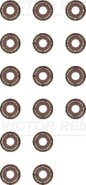 Set garnituri, ax supape (123862801 REI) DACIA,PEUGEOT,RENAULT