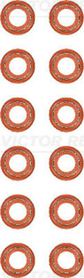 Set garnituri, ax supape (124021801 VICTOR REINZ) ASTRA,IVECO