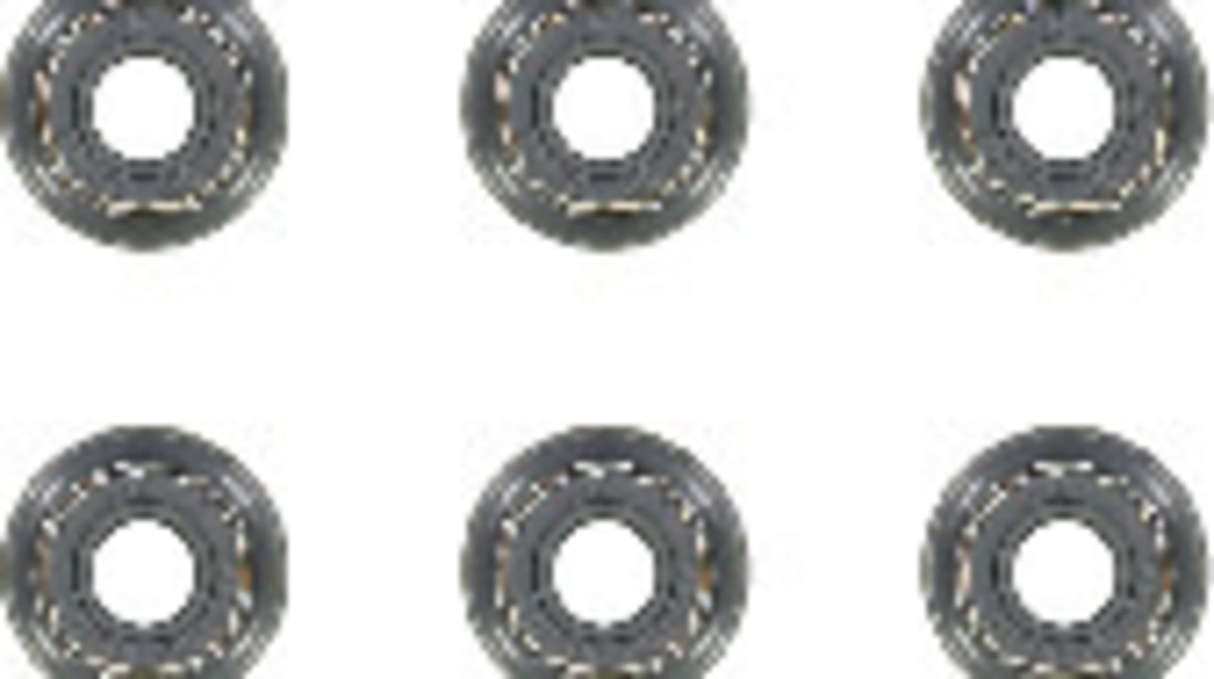 Set garnituri, ax supape (124061601 REI) DACIA,MAZDA,NISSAN,NISSAN (DFAC),RENAULT