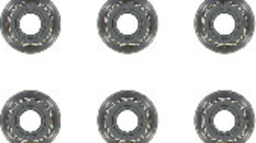 Set garnituri, ax supape (124061601 REI) DACIA,MAZDA,NISSAN,NISSAN (DFAC),RENAULT