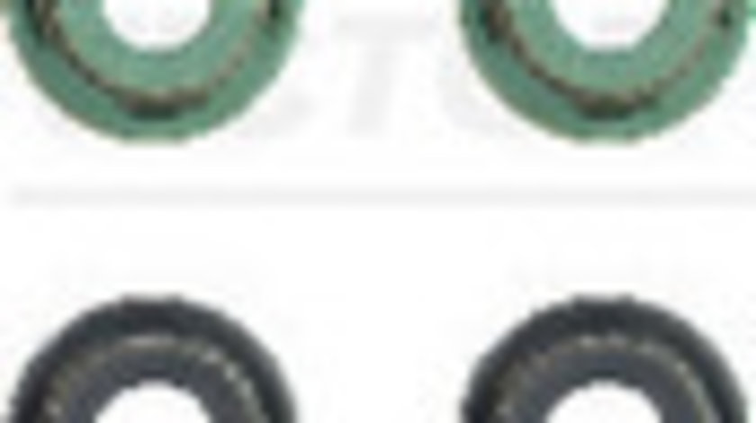 Set garnituri, ax supape (125282904 REI) FORD,FORD USA,MAZDA