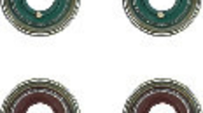 Set garnituri, ax supape (125350701 REI) Citroen,DAIHATSU,PEUGEOT,SUBARU,TOYOTA