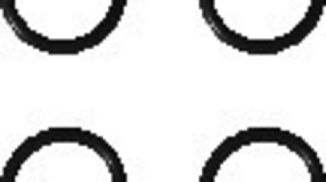 Set garnituri, ax supape (127694502 VICTOR REINZ) BREDAMENARINIBUS,DEUTZ-FAHR,MAZ