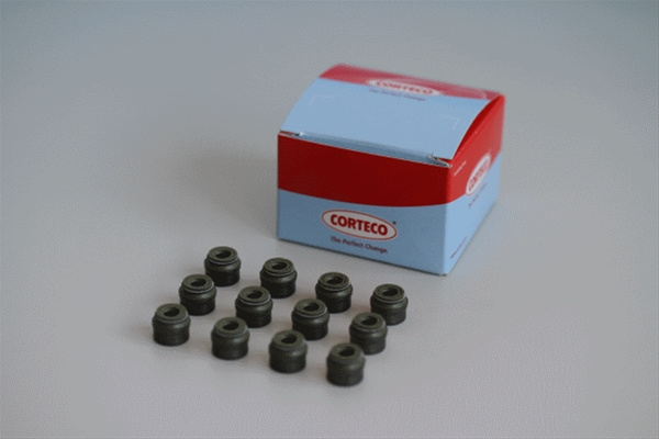Set Garnituri, Ax Supape Corteco Opel 19036010