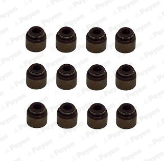Set garnituri, ax supape (HR5133 PAYEN) HYUNDAI,KIA