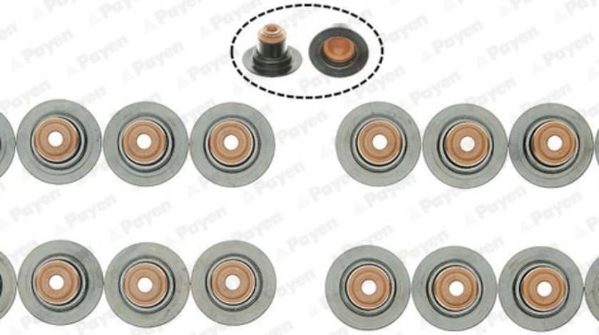 Set garnituri, ax supape (HR5145 PAYEN) DACIA,LADA,MAHINDRA,NISSAN,OPEL,RENAULT,SAMSUNG,VAUXHALL