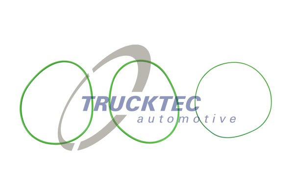 Set garnituri, bucsa cilindru (0143212 TRUCKTEC)