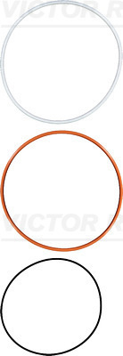 Set garnituri, bucsa cilindru (154198701 VICTOR REINZ)