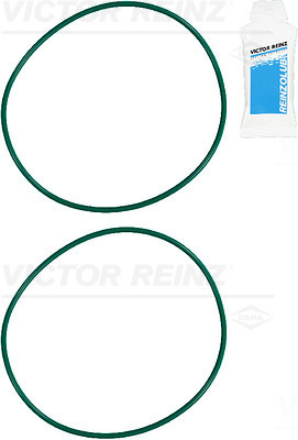 Set garnituri, bucsa cilindru (157353601 VICTOR REINZ) DENNIS,VOLVO