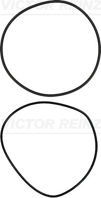 Set garnituri, bucsa cilindru (157355601 VICTOR REINZ) SCANIA
