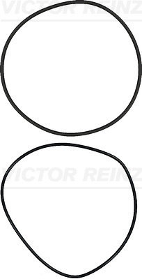 Set garnituri, bucsa cilindru (157355601 VICTOR REINZ) SCANIA