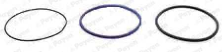 Set garnituri, bucsa cilindru (HL5379 PAYEN) OPTARE,RENAULT TRUCKS,VOLVO