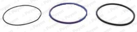 Set garnituri, bucsa cilindru (HL5379 PAYEN) OPTARE,RENAULT TRUCKS,VOLVO