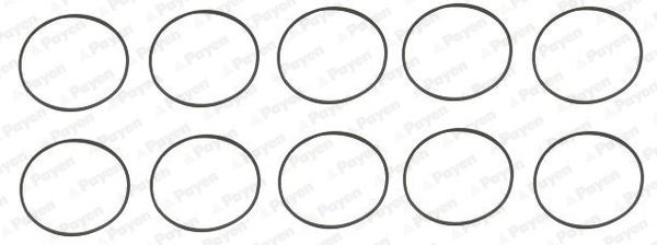 Set garnituri, bucsa cilindru (HL5383 PAYEN) ASTRA,IVECO