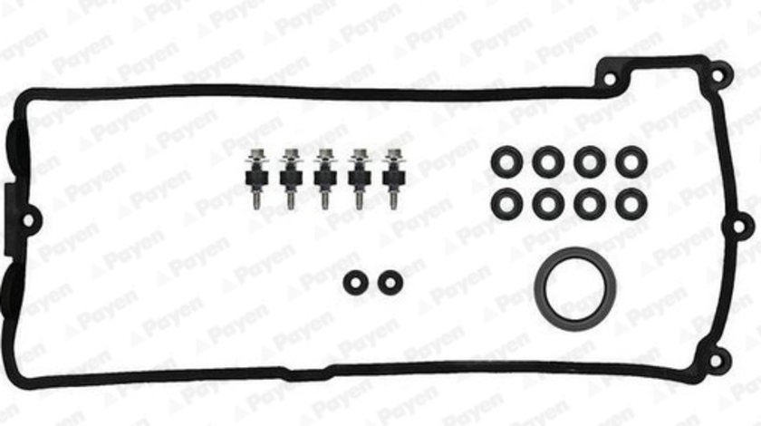 Set garnituri, Capac supape (HM5297 PAYEN) ALPINA,BMW,BRISTOL,MORGAN,WIESMANN