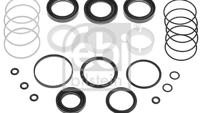 Set garnituri, caracsa directie (12307 FEBI BILSTEIN) BMW