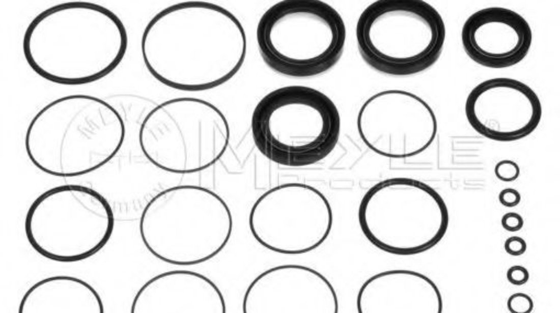 Set garnituri, caracsa directie BMW Seria 3 (E36) (1990 - 1998) MEYLE 300 321 3101 piesa NOUA