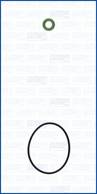 Set garnituri, carcasa distributie (77010200 AJUSA) BMW,MINI