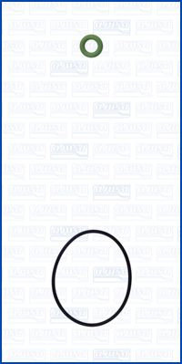 Set garnituri, carcasa distributie (77010200 AJUSA) BMW,MINI