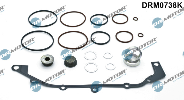 Set garnituri, carcasa distributie (DRM0738K DRM) BMW