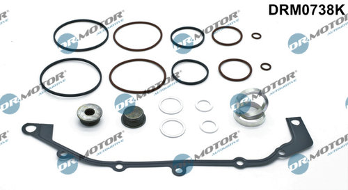 Set garnituri, carcasa distributie (DRM0738K DRM) BMW
