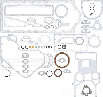 Set garnituri, carter (084149501 VICTOR REINZ)