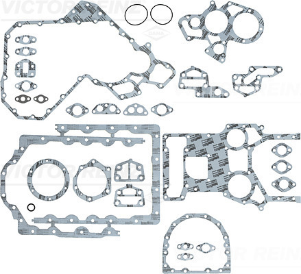 Set garnituri, carter (085619501 VICTOR REINZ)